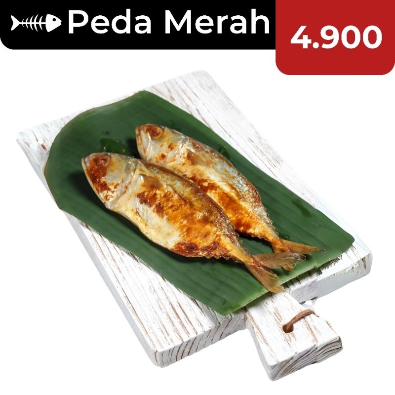 

ECERAN!!! 5k Peda Merah SUPER / Kembung Baceman / Ikan Asin Murah / Ikan Asin Enak