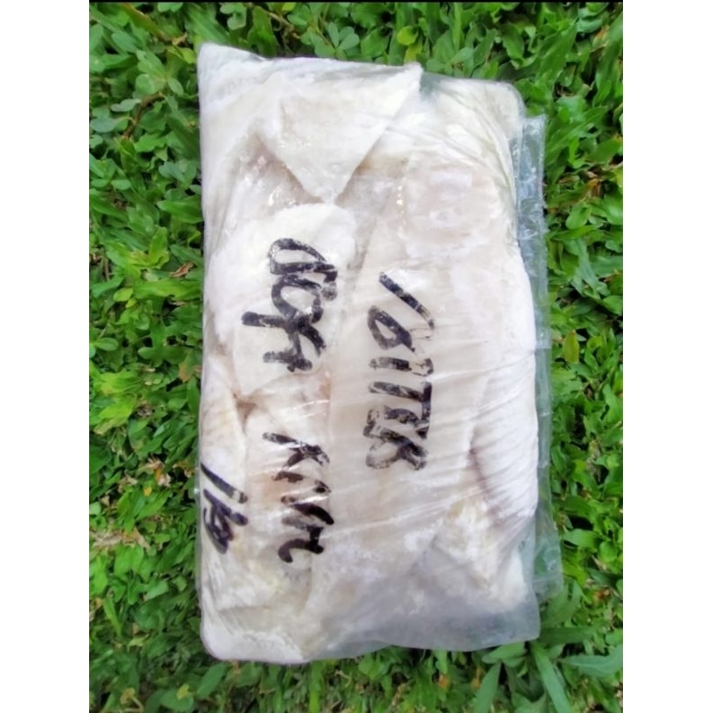 

ikan sebelah filet 1kg