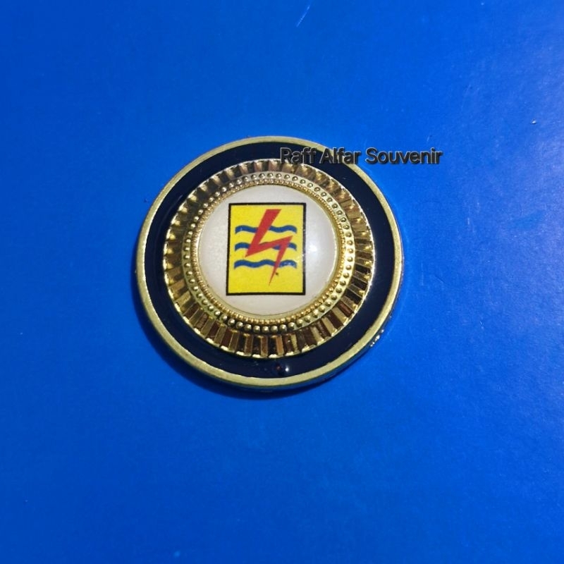 PIN PLN MAGNET