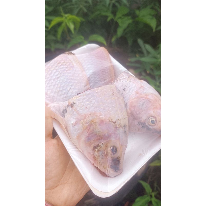 

[SUDAH DISIANG] Ikan Nila Segar Sudah Bersih Siap Masak Lauk Pontianak