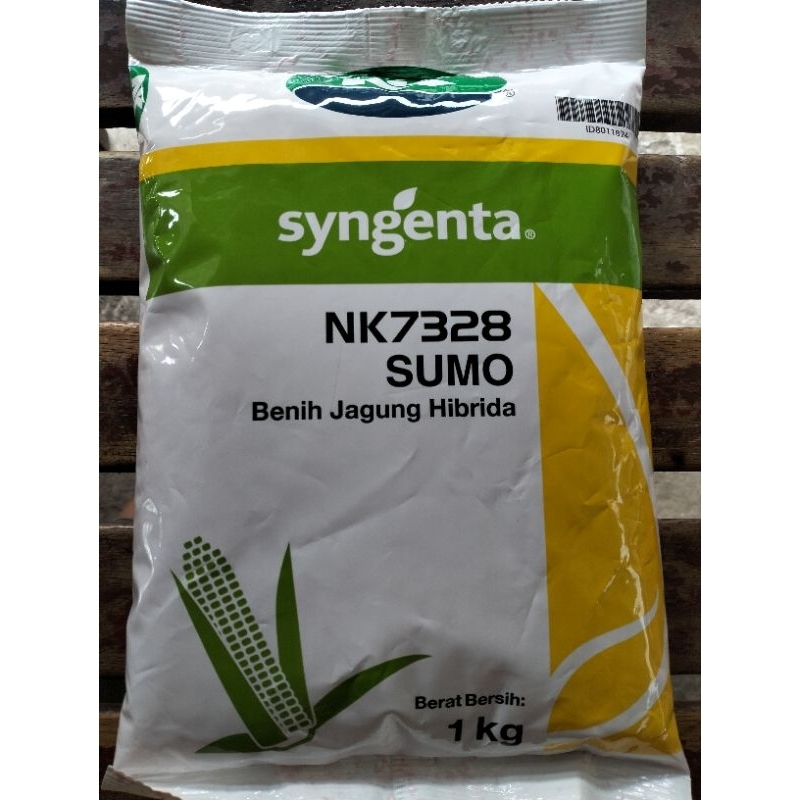 

Benih Jagung Hibrida NK7328 Sumo