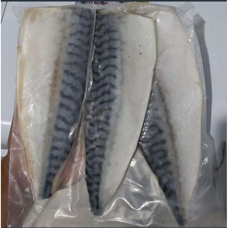 

Fillet Ikan Makarel / Fillet Ikan Saba