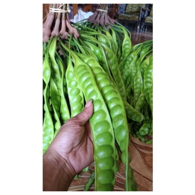 

Pete Per PaPan Fresh Kualitas Super