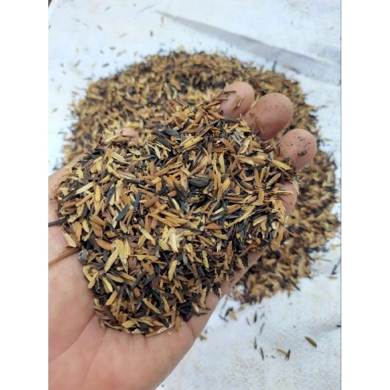 sekam sangrai / sekam oven