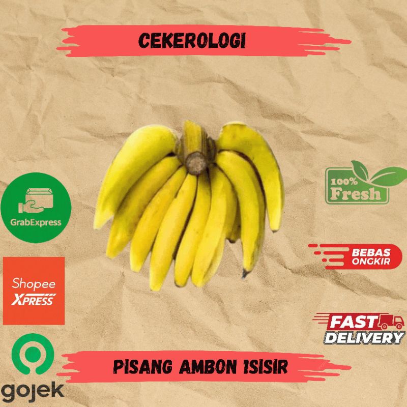 

Pisang Ambon 1sisir / Pisang Ambon / Pisang Ambon Fresh Berkualitas / Pisang / Buah Pisang / Buah / Buah Buahan