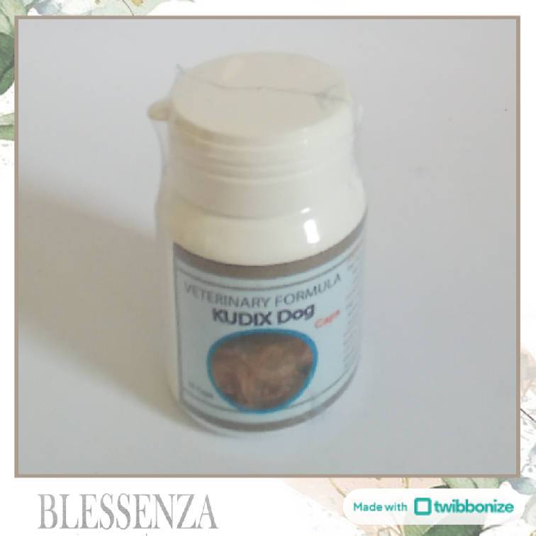KUDIX DOG 10 CAPSUL - OBAT ANTI GATAL SCABIES EKSIM KORENG KUDIX PADA ANJING