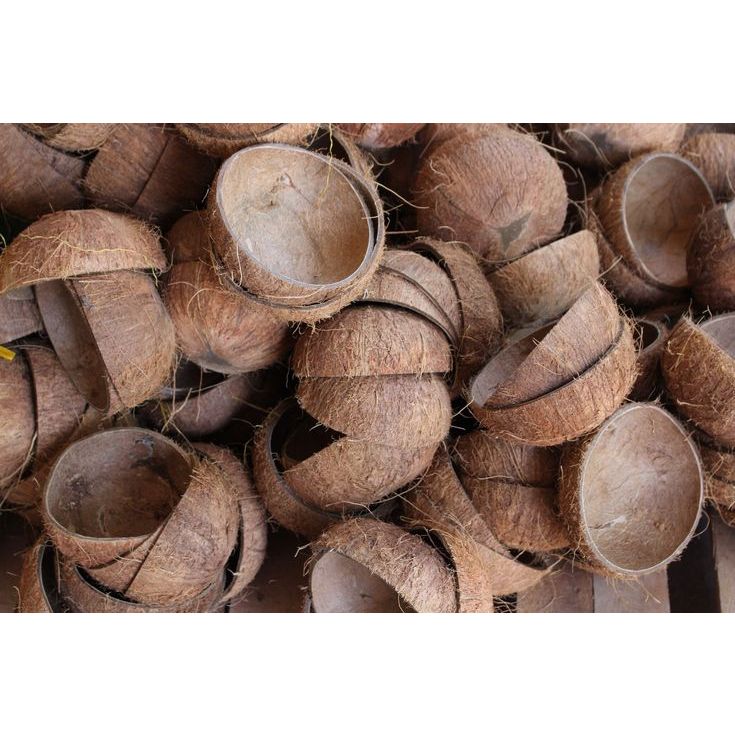 Batok Kelapa / Tempurung Kelapa Kerajinan