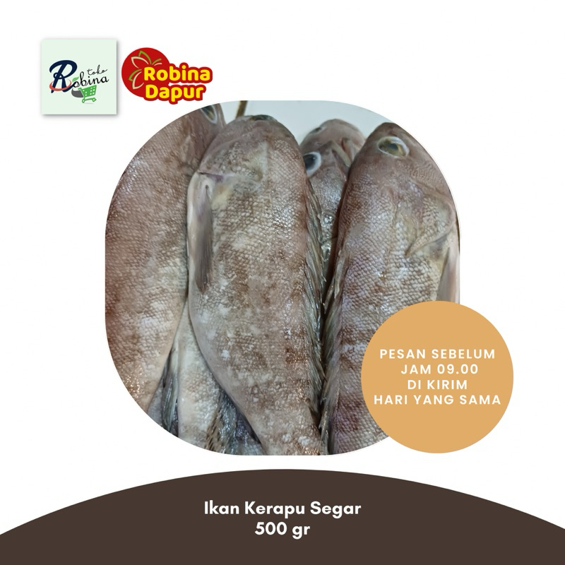 

Ikan Kerapu Segar 500 gr