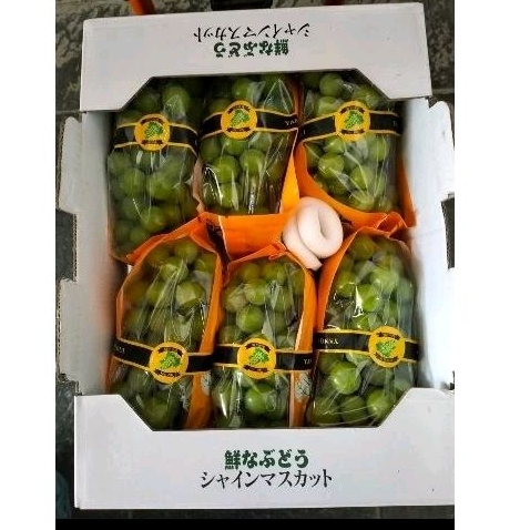 

BUAH ANGGUR SHINE MUSCAT GREEN GIFT BOX 6 PACK MANIS