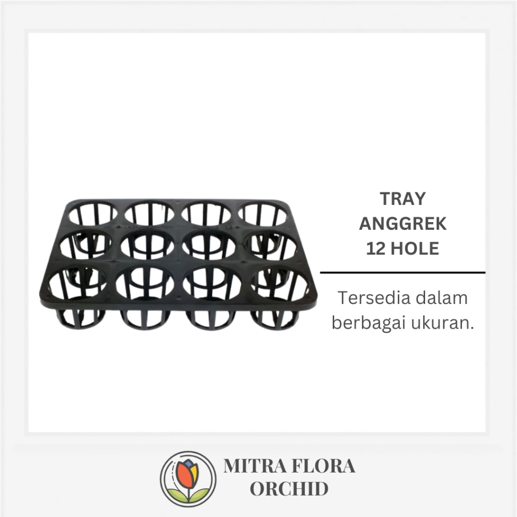 Tray Anggrek 12 Lubang
