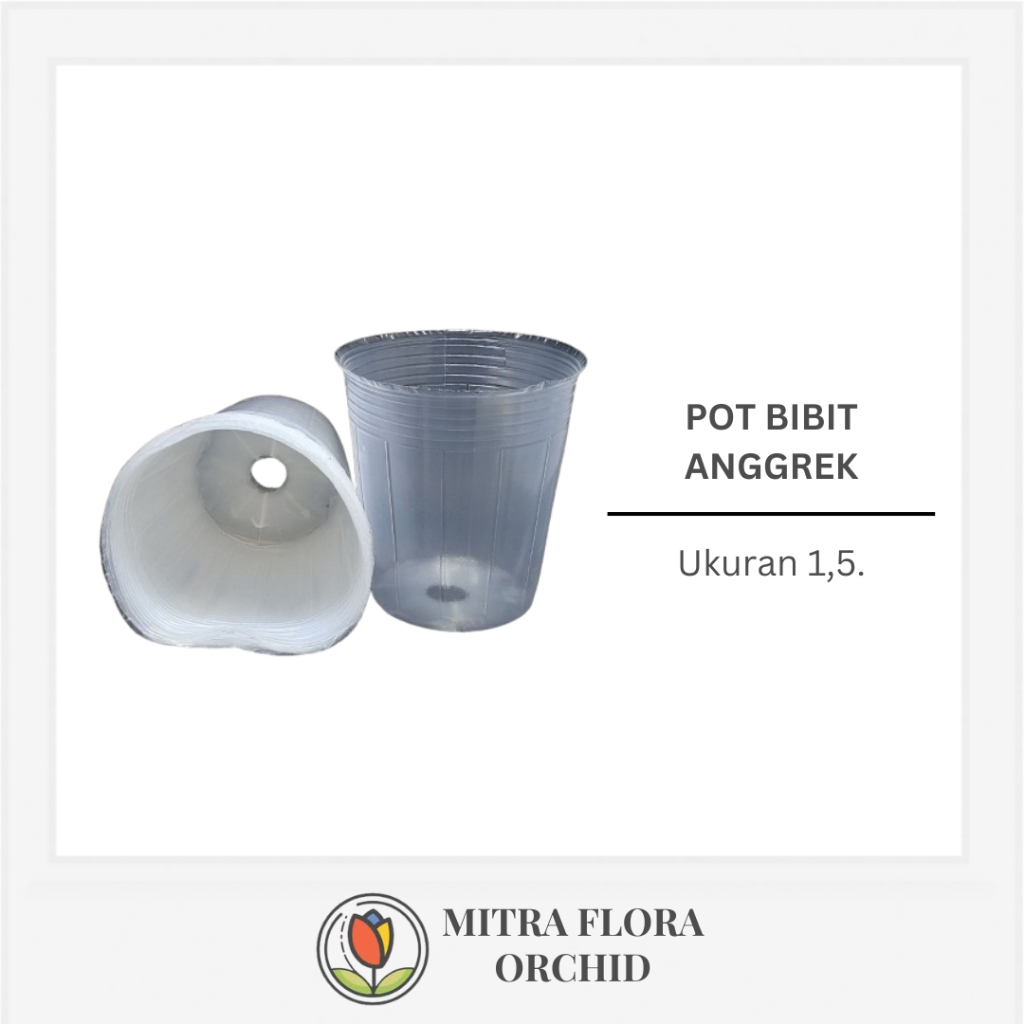 Flexible Cup Anggrek Transparan - Soft Pot Anggrek Mini (1,5)