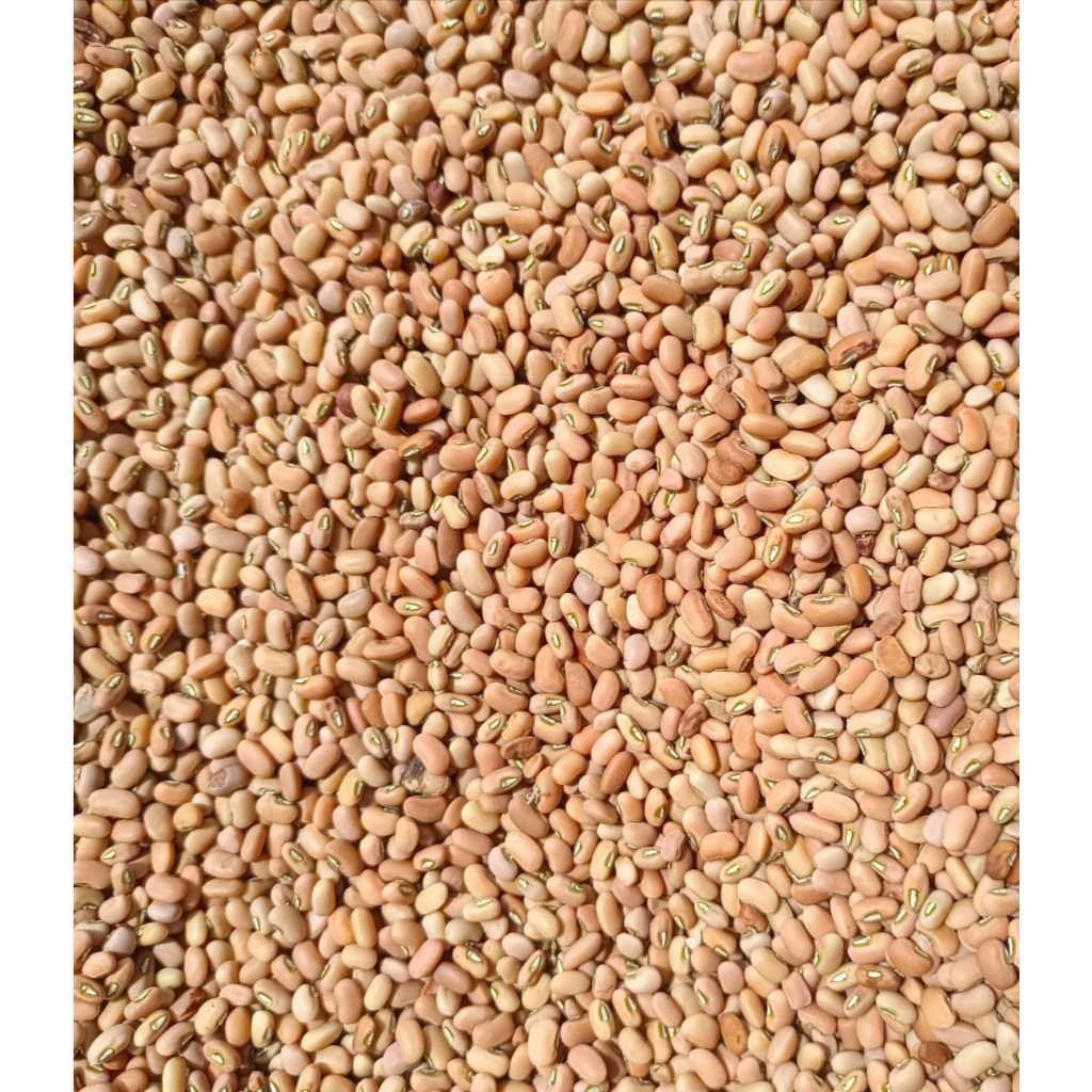 

Kacang Tolo Super 1kg