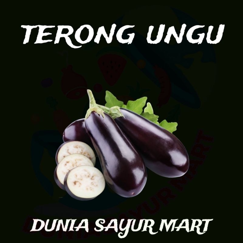 

terong ungu