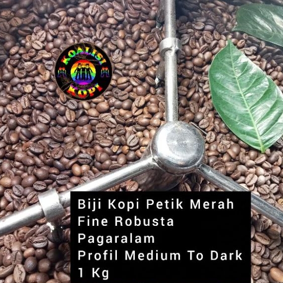 

Biji Kopi Fine Robusta, Petik Merah, Roasted bean Proses Natural, Pagar Alam Sumatera Selatan, Profil Roasted Medium To Dark, Termurah, grosir, terlaris, Berat 1 Kg