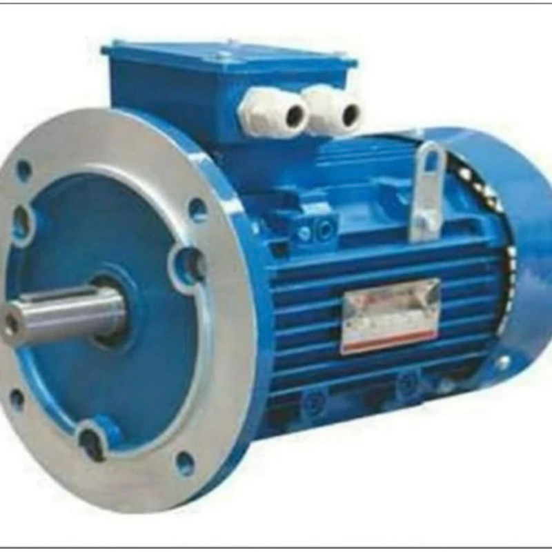 ADK 0.25 HP 3 Phase Type Flange B5 Dinamo Elektro Motor 0.25HP 0,25 HP