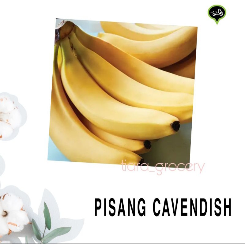 

Pisang cavendish