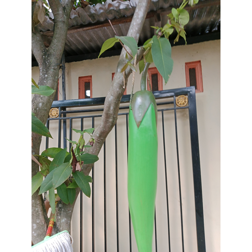 Kentongan DINDING Dekorasi CABE HIJAU Jumbo