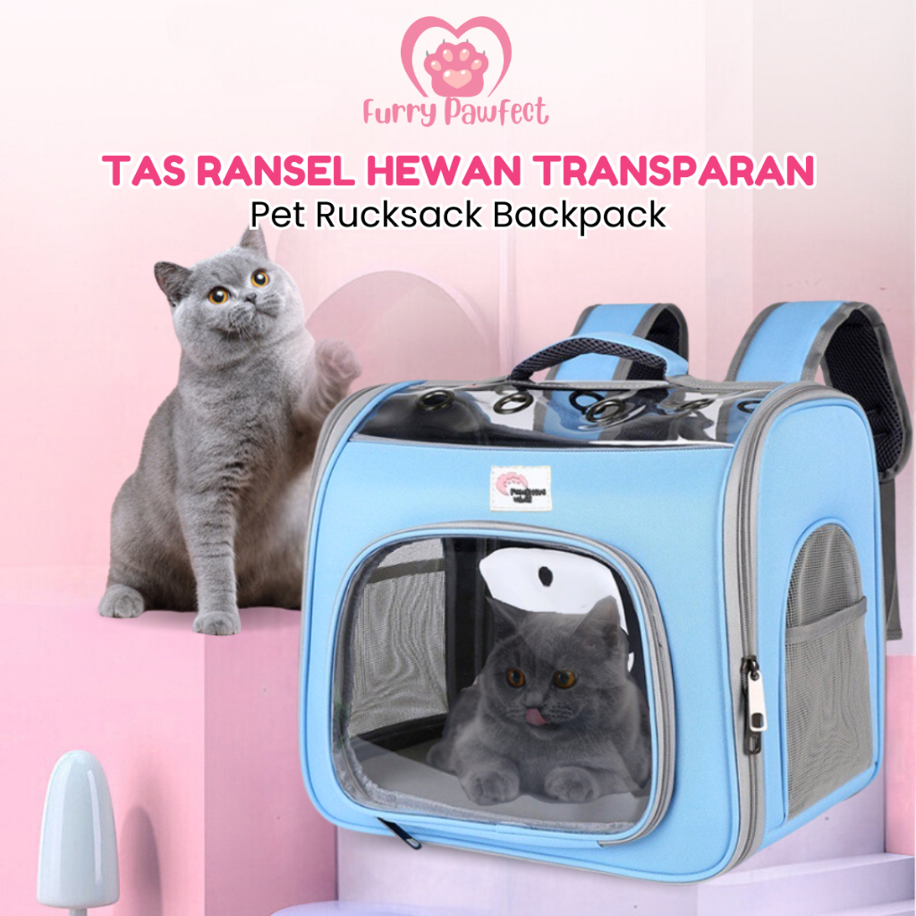 Tas Ransel Hewan Transparan - Travel Bag Anjing Kucing Jumbo - Pet Rucksack Backpack / Anabul Carrie