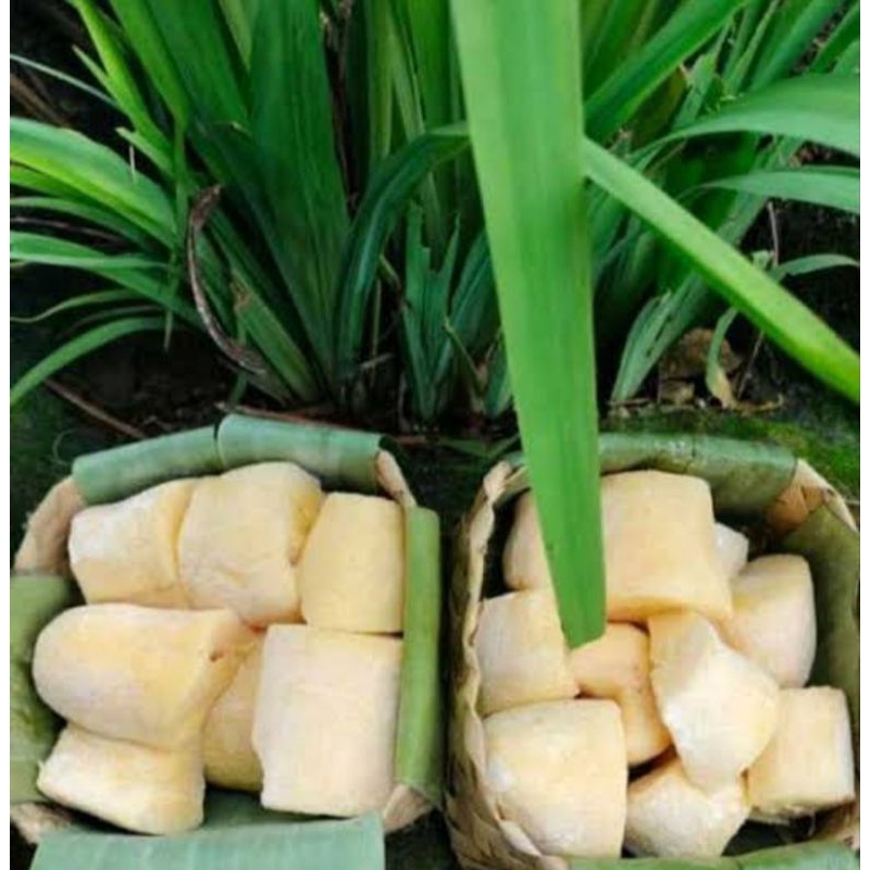 

DEB tape singkong mentega kemasan besek 2 kg manis bikin ketagihan