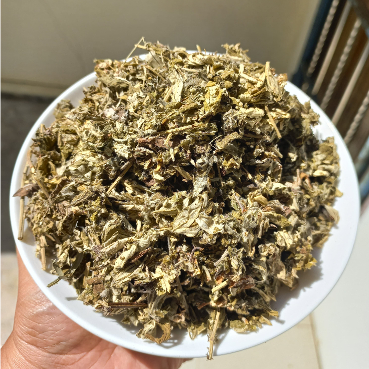 

DAUN SUDAMALA KERING/DAUN NGAI/MUGWORT/DAUN BARU CINA/AISTONIA SCHOLARIS