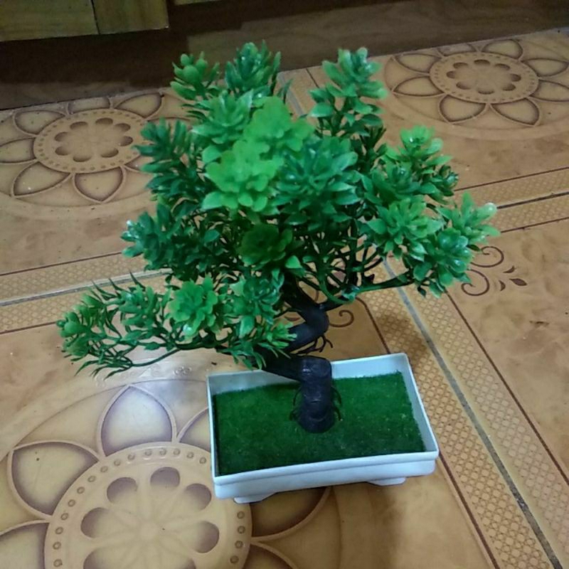 Tanaman Bonsai Plastik Hias