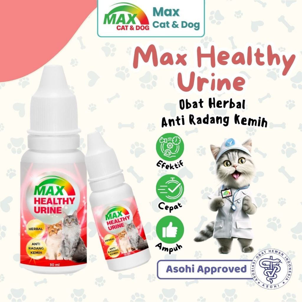 Obat Radang Kemih Kucing & Susah Kencing Max Urinary