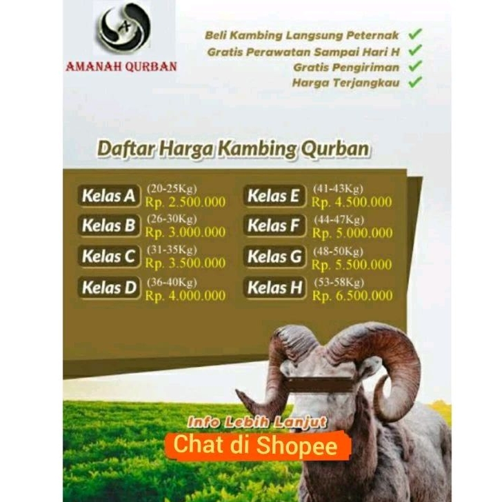 

Qurban Kambing Berkwalitas 2024 Gratis Ongkir & Pemeliharaan