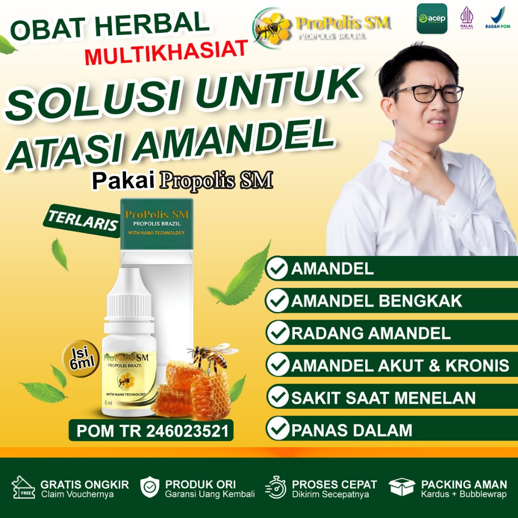 Obat Amandel Radang Amandel Amandel Akut Amandel Bernanah Amandel Kronis Amandel Tongsil Penghilang 
