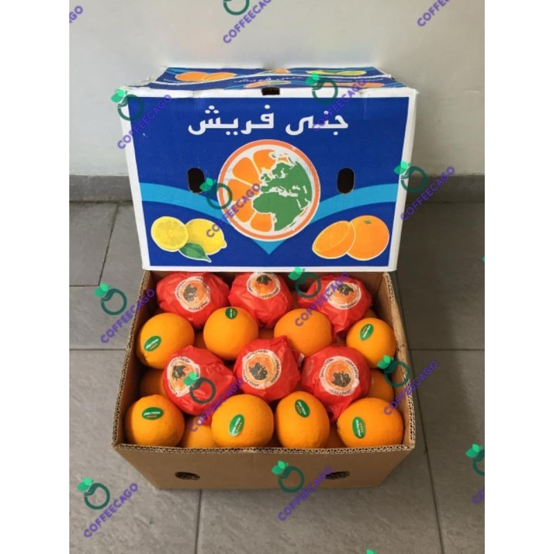 

Jeruk Sunkis Navel Jana Mesir 1 Dus (14 KG) Fresh Import