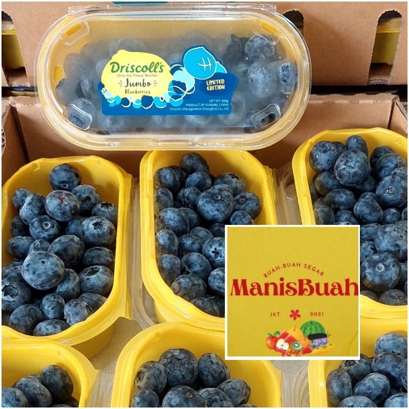 

Blueberry buah fresh per dus