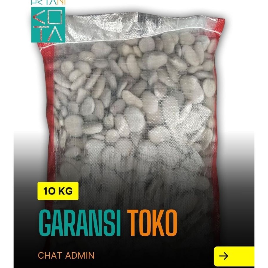 TEBUS MURAH  1 Kg Batu Coral Kupang Putih  Sebesar Koin 5an 1 kg Koral Krikil KEcil  Besar Karung Ka