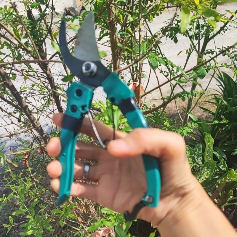 gunting ranting pohon gunting ranting bunga Pruning Shears