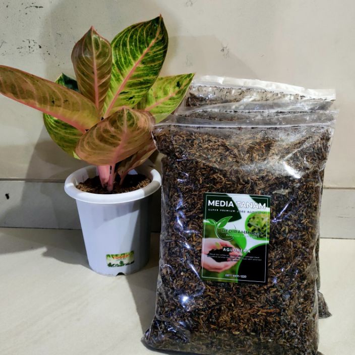 ORIGINAL MEDIA TANAM aglonema super premium JOSS GANDOS 1kg