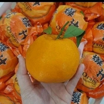 

BUAH JERUK PAPAGAN DEKOPON TANPA BIJI MANIS FRESH -+6 KG