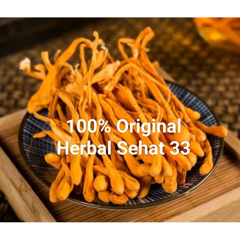 

chong cao Hua 虫草花 cordyceps flower - jamur bunga cordyceps 100g