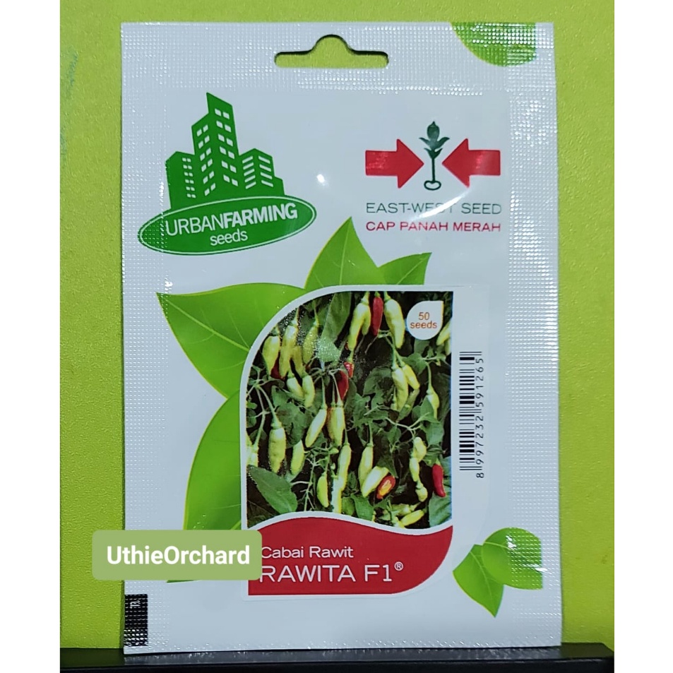 Harga Murah Benih Merah  Cabe Rawit Rawita F1