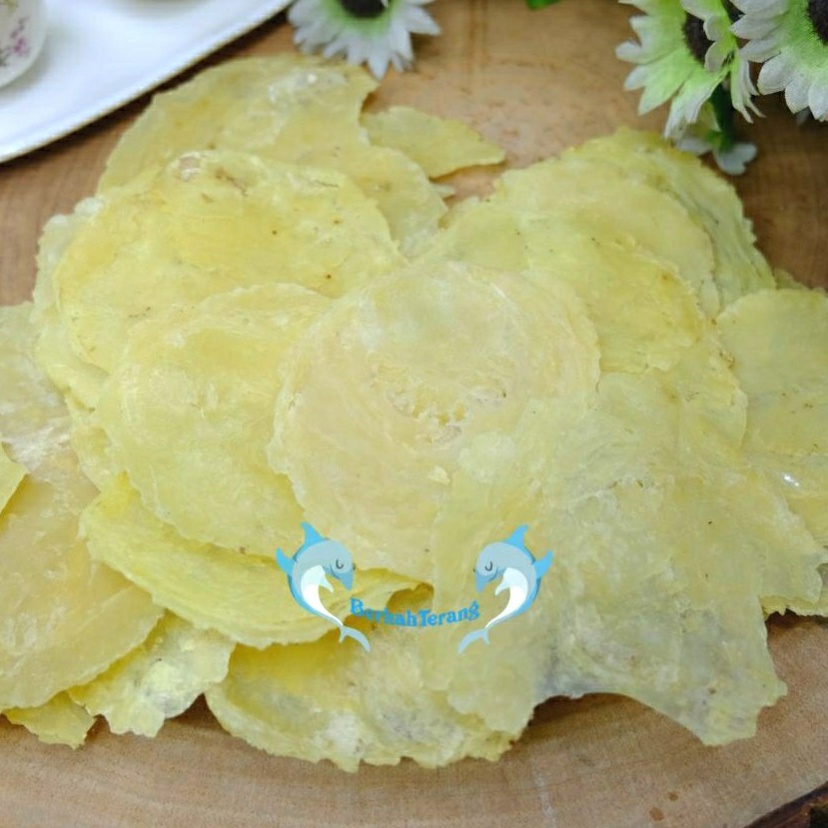 

Teknologi Terkini Emping Melinjo Aceh Tipis Mentah KECIL Asli 1 gr Belinjo