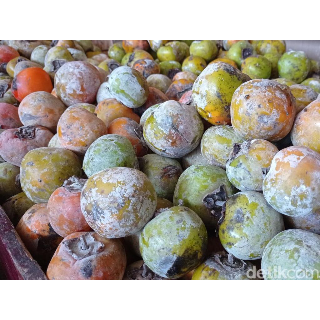 

Buah Persimon/kesemek lokal 1kg, Ready Stock Sameday Delivery Jogja