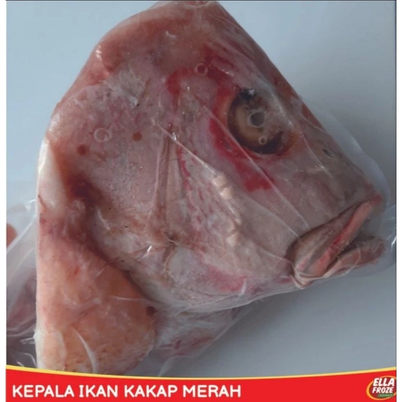 

Kepala Ikan Kakap Merah