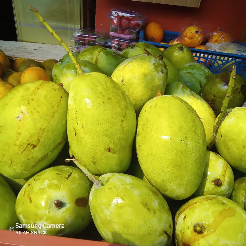 

Mangga Muda Rujak 1kg