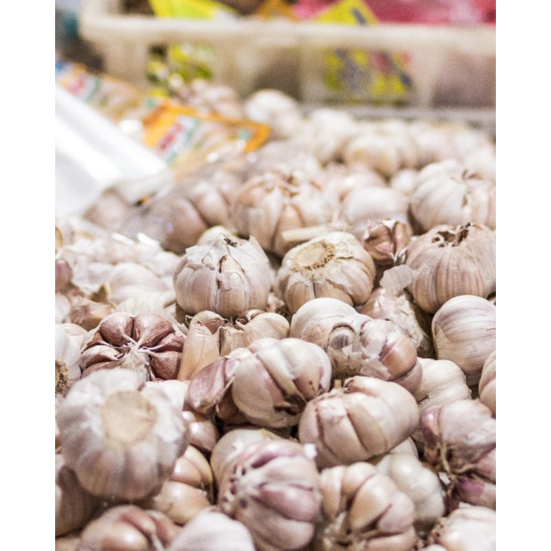 

SESAYUR - bawang putih utuh