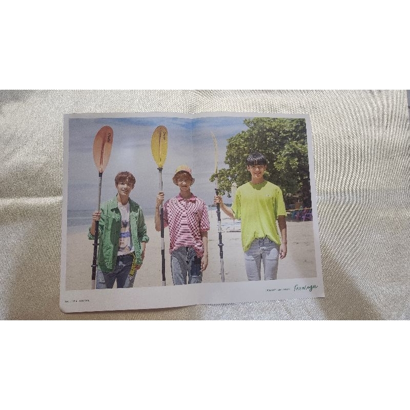 Seventeen Official Teen Age Folded Poster (DK,The 8,Mingyu)