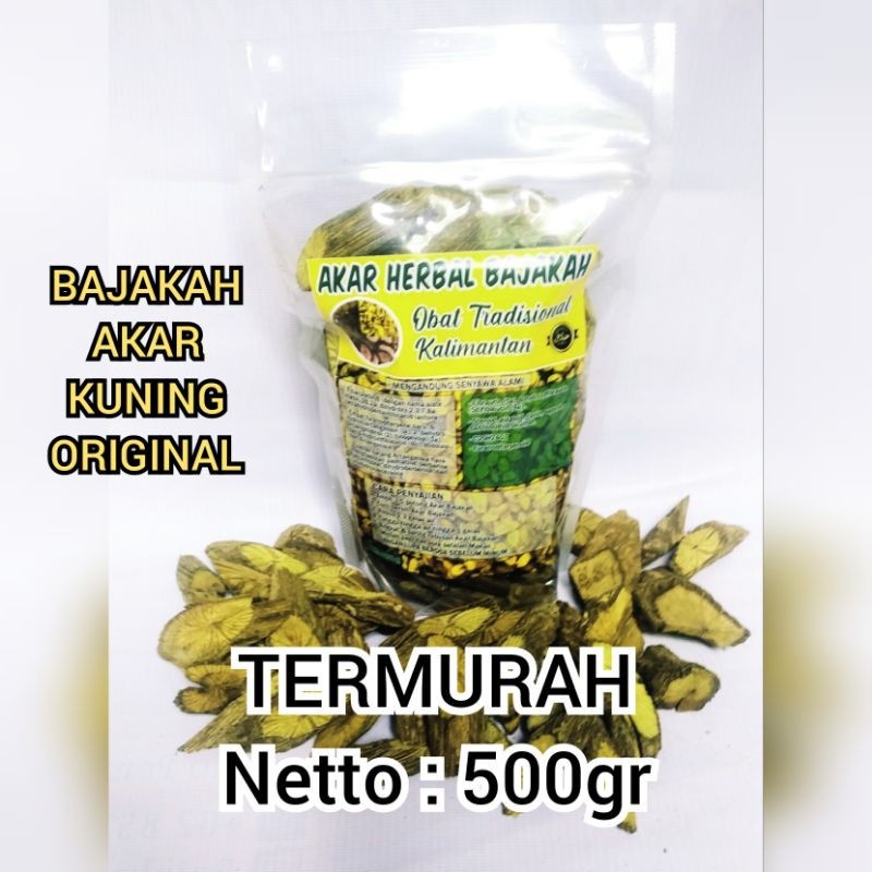 Akar Kayu Bajakah Kuning Asli Kalimantan