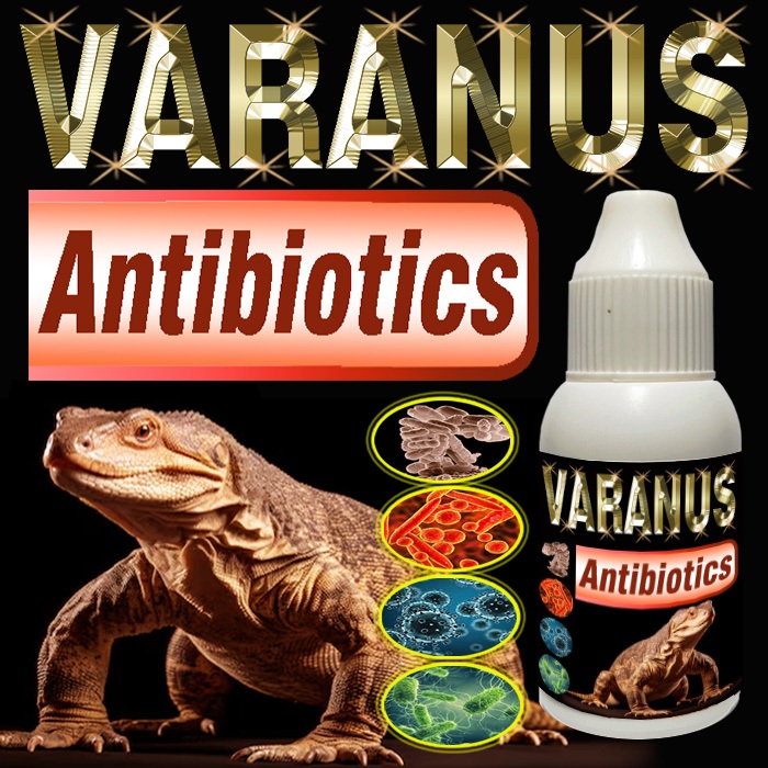 VARANUS ANTIBIOTICS SUPLEMEN KESEHATAN REPTILE VITAMIN BIAWAK VARANNUS ALBIGULARIS SAVANAH MONITOR S