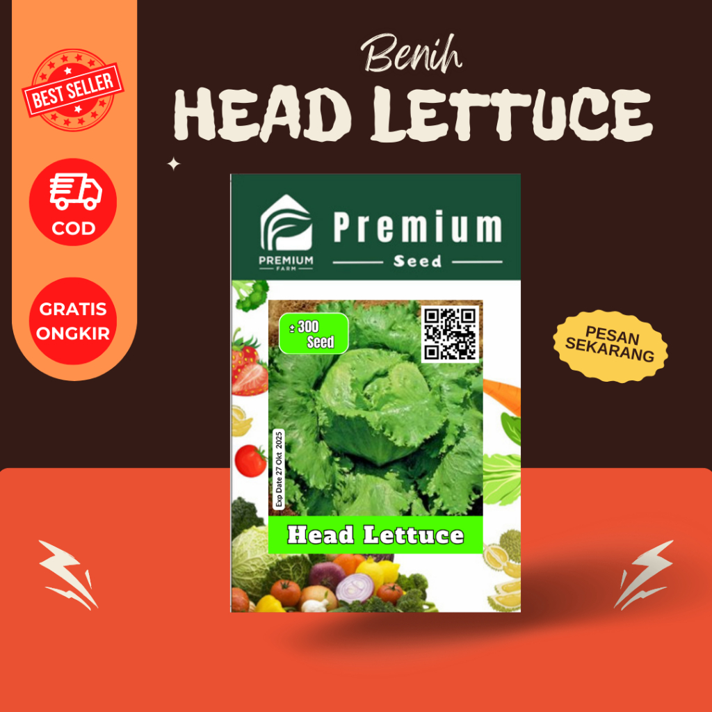 Benih Biji Bibit HEAD LETTUCE Selada Krop Iceberg