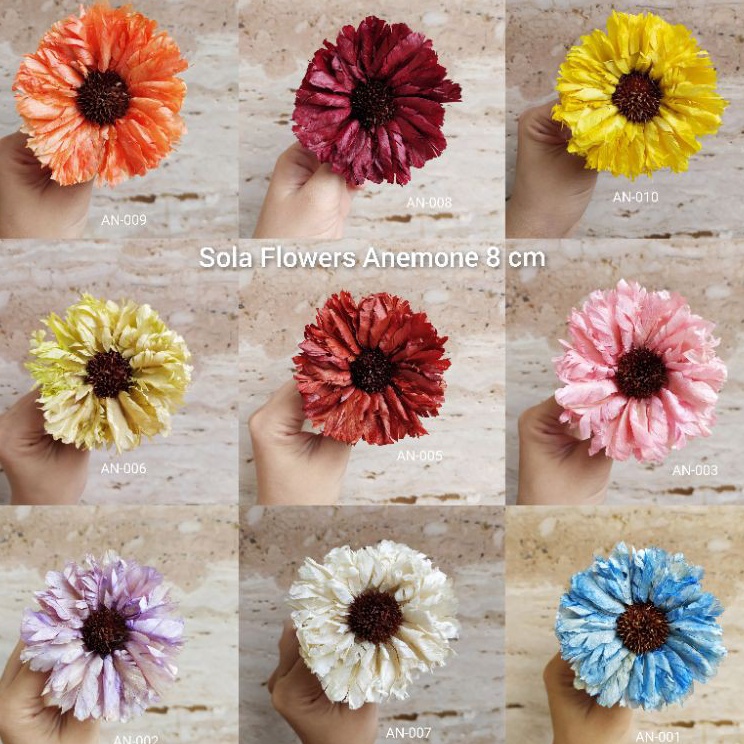 Bunga Sola Wood Anemone 89 cm