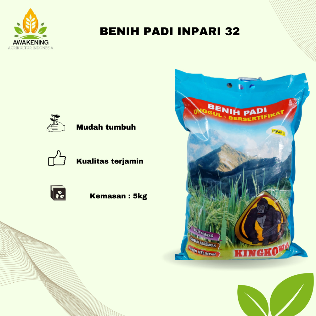 BENIH PADI KINGKONG INPARI 32 5KG