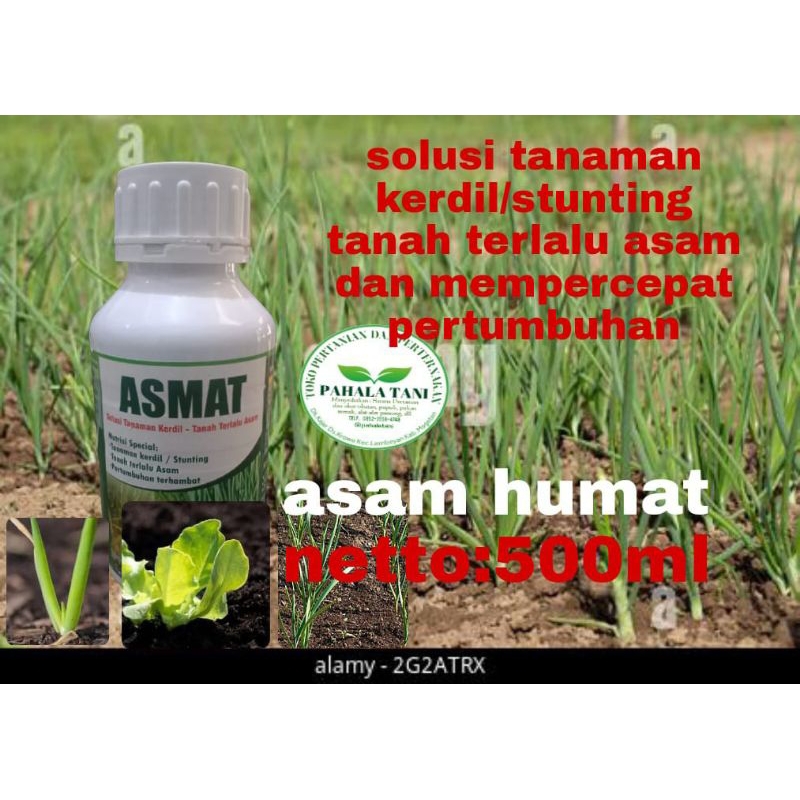 ASMAT/asam humat/nutrisi tanaman kerdil/tanah terlalu asam/natrium phospat/zn so4