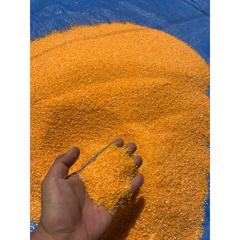 

beras jagung/jagung giling