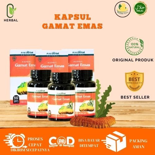 Kapsul Gamat Emas Acep Herbal - Goldmax - Jaminan Original Distributor Resmi - 50 Kapsul